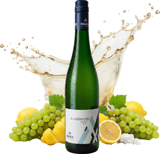 2024 Weingut Marx Auxerrois