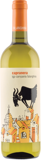 2025 Capranera Falanghina