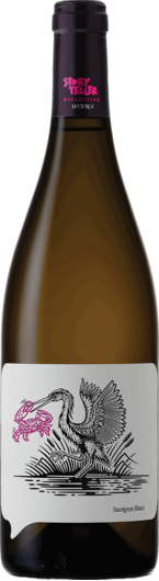 2025 La Vierge Story Teller Sauvignon Blanc