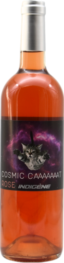 Caaaaaaat Cosmic Rose