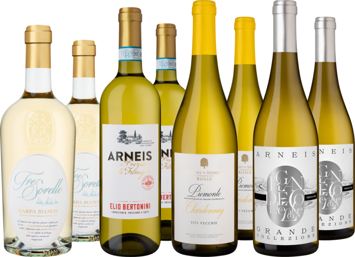 Entdeckerpaket Norditalienische Weißwein-Favoriten