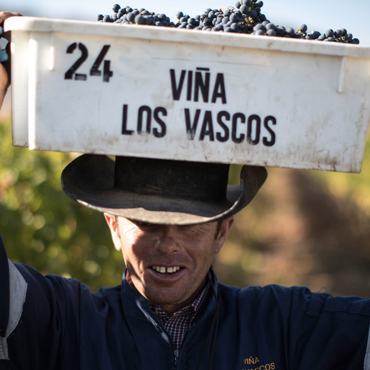 2022 Los Vascos Winemaker Grande Réserve Carmenère
