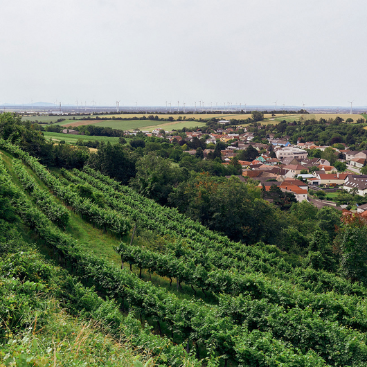 2025 Grüner Veltliner Alte Reben Premium