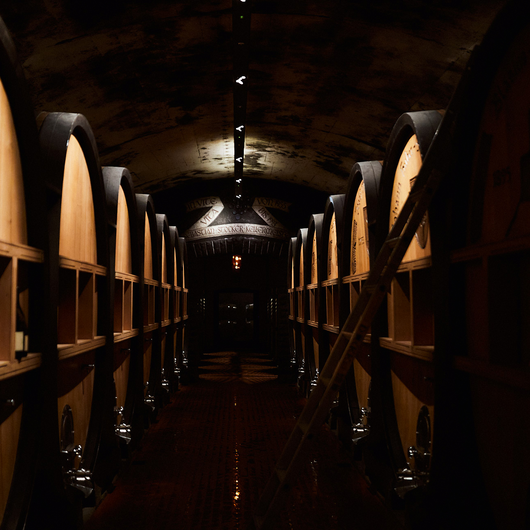 2025 Terlan Pinot Grigio Late Release