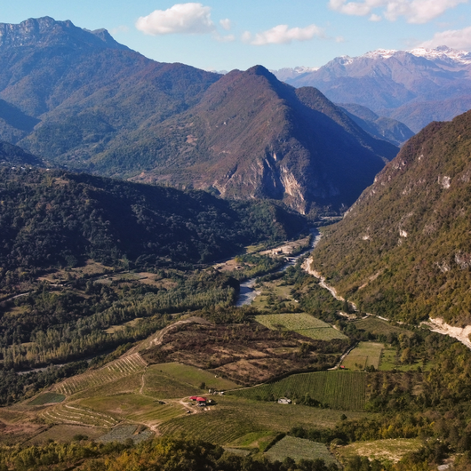 2023 Ertoba Saperavi Reserve