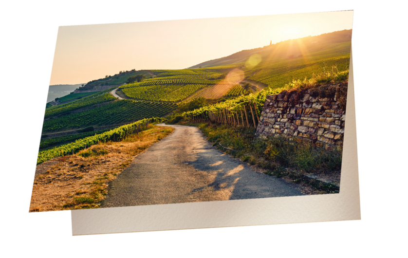 Grußkarte Landschaft - HAWESKO