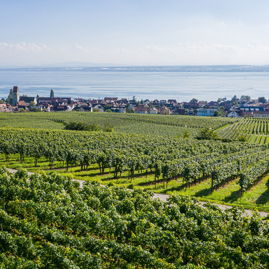 2025 Seeträume Bodenseewein