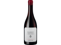 Sgarzon Teroldego, Vigneti delle Dolomiti IGT, Trentino, 2019, Rotwein