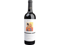 Crianza Cariñena, Cariñena DO, Aragonien, 2019, Rotwein
