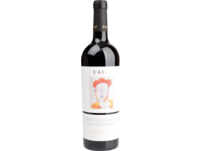 Cariñena Nativa, Cariñena DO, Aragonien, 2020, Rotwein