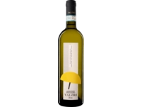 Valori Pecorino, Pecorino d'Abruzzo DOC, Abruzzen, 2022, Weißwein