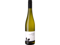 Pflüger Sauvignon Blanc vom Quarzit, Trocken, Pfalz, Pfalz, 2022, Weißwein