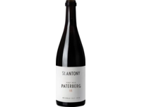 Paterberg Pinot Noir GG, Trocken, Rheinhessen, Rheinhessen, 2021, Rotwein