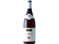 Georges Duboeuf Morgon, Morgon AOP, Burgund, 2019, Rotwein