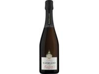 Raumland Riesling Sekt, Brut, Deutscher Sekt, Deutscher Sekt, 2019, Schaumwein