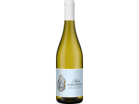 Perle d'Atlantique Sauvignon Blanc, Atlantique IGP, Bordeaux, 2023, Weißwein