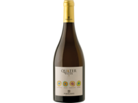 Quater Vitis Bianco, Terre Siciliane IGT, Sizilien, 2023, Weißwein