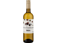 Basa Dry White, Rueda DO, Kastilien - León, 2023, Weißwein