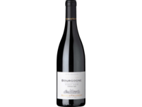 Henri de Villamont Prestige Pinot Noir, Bourgogne AOP, Burgund, 2021, Rotwein