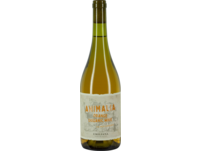 Animalia Sauvignon Blanc, Orange Wine, Valle Casablanca, Valle de Aconcagua, 2022, Weißwein