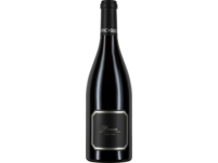 Hispano+Suizas Bassus Pinot Noir, Utiel-Requena DO, Utiel-Requena D.O., 2021, Rotwein