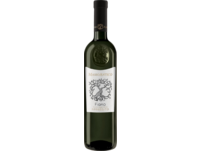 Masso Antico Fiano, Salento IGT, Apulien, 2023, Weißwein