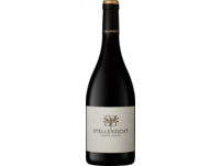 Stellenzicht Silcrete Cinsault, WO Paarl, Western Cape, 2019, Rotwein