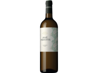 José Pariente Sauvignon Blanc, Rueda DO, Somontano, 2023, Weißwein