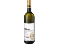 Russiz Superiore Sauvignon, Collio DOC, Friaul, 2023, Weißwein