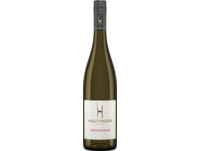 Haltinger Winzer Sauvignon Blanc QbA, Trocken, Baden, Baden, 2022, Weißwein