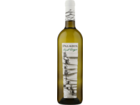 Paladin Pinot Grigio, Veneto IGP, Venetien, 2023, Weißwein