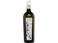 Paladin Sauvignon Blanc, Trevenezie IGP, Venetien, 2023, Weißwein