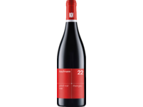 Kaufmann Pinot Noir ++, Trocken, Rheingau, Rheingau, 2022, Rotwein