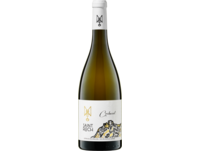 Château Saint-Roch Corbarol Blanc, Côtes du Roussilon AOP, Languedoc-Roussillon, 2023, Weißwein