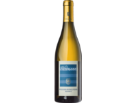 Weißburgunder Qualitätswein Reserve, trocken, Rheinhessen, Rheinhessen, 2023, Weißwein