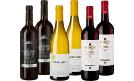 Entdeckerpaket Spanien