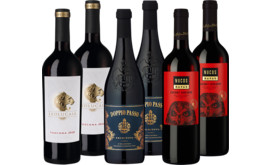 Rotwein Paket zu Fleisch