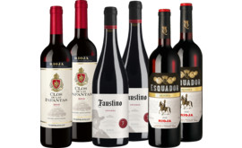 Entdeckerpaket Rioja