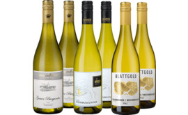 Entdeckerpaket Grauburgunder trifft Weißburgunder