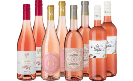 Rosé Highlights im Paket