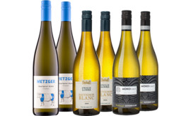 3 Länder 1 Rebsorte Sauvignon Blanc