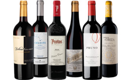 Kennenlernpaket Ribera del Duero