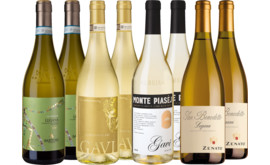 Genießerpaket Gavi & Lugana