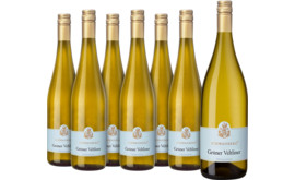 Vorteilspaket Schwanberg Grüner Veltliner