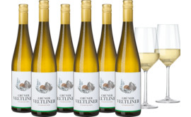 2022 Vorteilspaket Steinpfefferl Grüner Veltliner