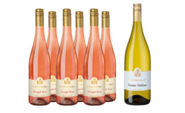 Vorteilspaket Schwanberg Zweigelt Rosé