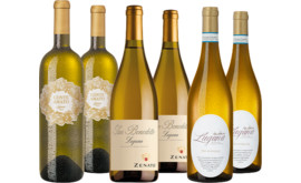 Lugana Bestseller im Paket
