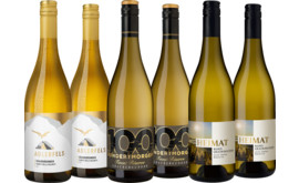 Probierpaket Grauburgunder