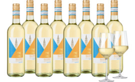Vorteilspaket Pinot Grigio