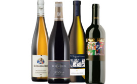 Podcast-Paket "Weinwanderung mit Claudia Berg"